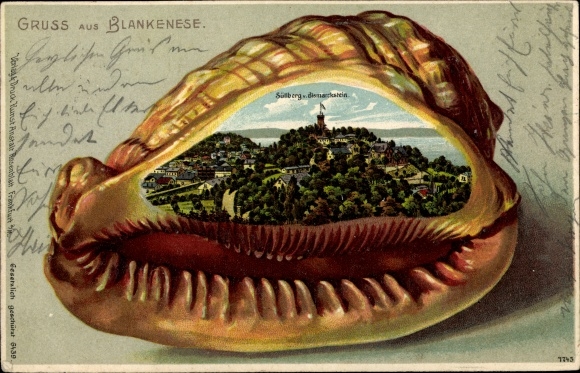 Embossed Shell Chromo-Litho Hamburg Altona Blankenese, Süllberg vom Bismarckstein