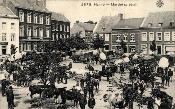 Postcard Hannut Wallonia Liège, cattle market