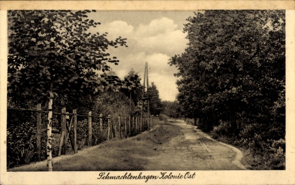 Postcard Schmachtenhagen Oranienburg in the district of Oberhavel, Kolonie Ost, street section