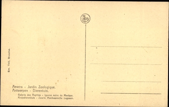 Postcard Jardin Zoologique Anvers, Antwerp Zoo, Galerie des Reptiles, Iguane noire, Leguan