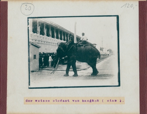 Photo Carolines, colony, around 1900, native police soldiers, back: Bangkok, white elephant