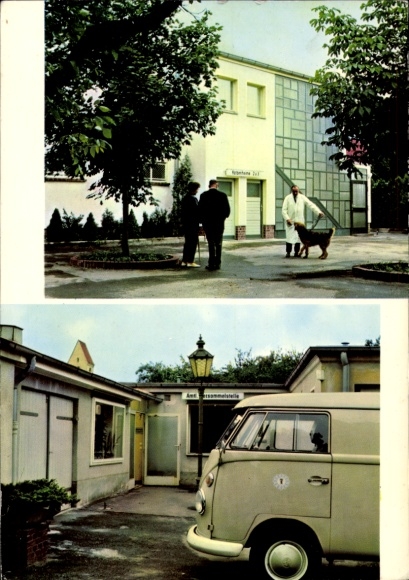 Postcard Lankwitz Berlin, animal shelter Dessauer Straße 21-27, cat shelter