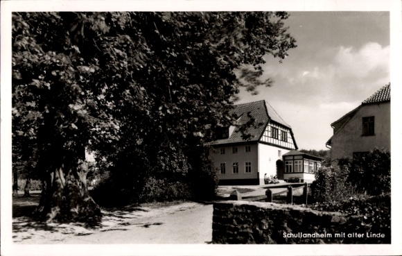Ak Barkhausen Bad Essen in Nedersaksen, schoolkamp met oude lindeboom