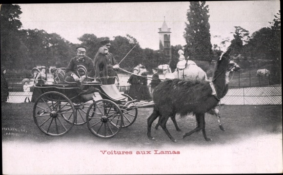 Postcard Paris XVI. Arrondissement Passy, Cars to Lamas