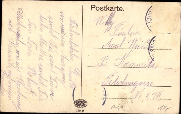 Postcard Saupsdorf Sebnitz in Saxony, panorama with Wachberg, buildings