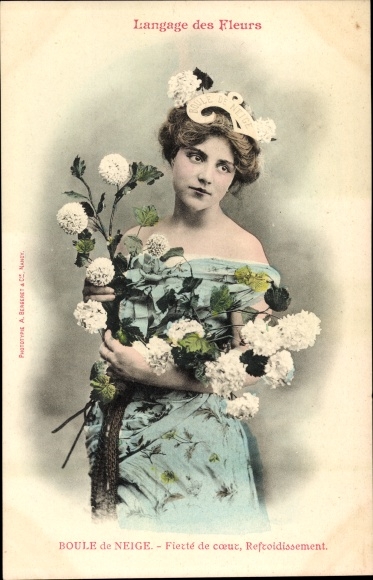 Postcard Flower Language, Snowball, Blumen, Frau