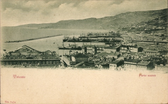 Ak Triest Trieste Friuli Venezia Giulia, Hafen, Gesamtansicht