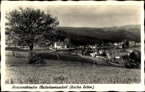Ak Hinterhermsdorf Sebnitz, uitzicht op de stad, kerk, velden