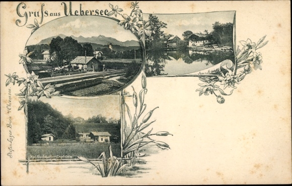 Ak Übersee im Landkreis Traunstein Bayern, Königliche Fischkultur Englstein, Au Mühle, Schilf