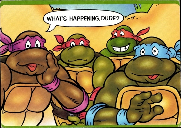 Postcard Comic, Teenage Mutant Ninja Turtles, Schildkröten, What's happening, Dude?