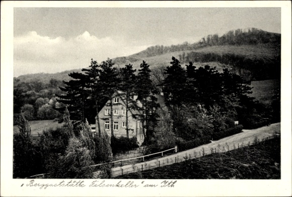 Ak Coppenbrügge Niedersachsen, Berggaststätte Felsenkeller, Landschaft mit Berg und Bäumen, Gebäu