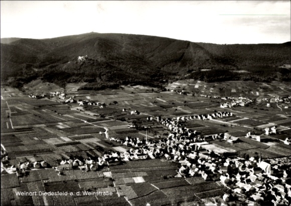 Ak Diedesfeld Neustadt an der Weinstraße, Luftaufnahme von Diedesfeld, Weinberge, Natur, foto