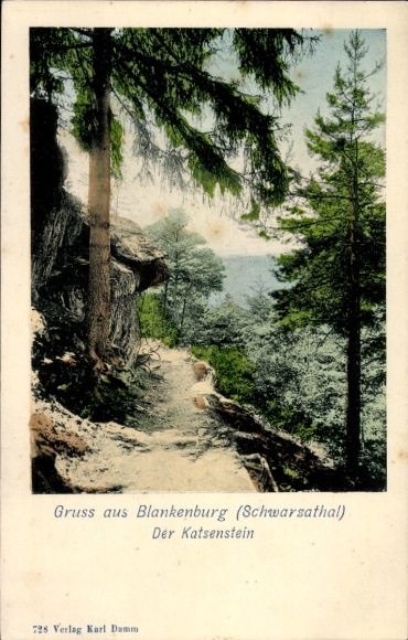 Ak Bad Blankenburg in Thüringen, Schwarzatal, Der Katzenstein
