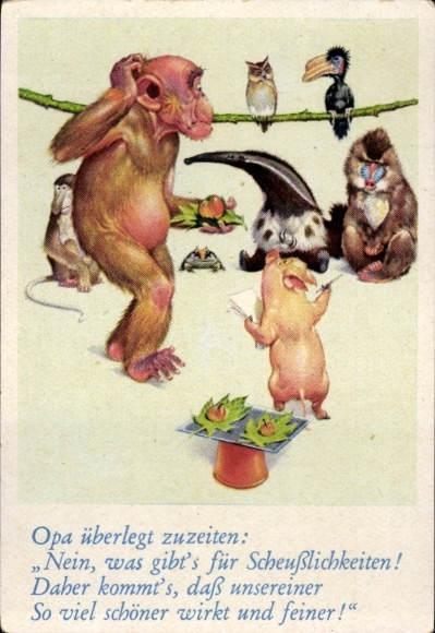 Collector's picture funny pictures No. 53, orangutan, pig, anteater, birds, monkeys