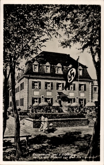 Postcard Saal an der Donau, Donau Hotel, Reichsbeflaggung