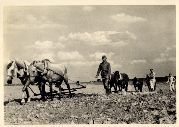 Postcard Waffen SS, At peaceful work, field work, horse-drawn plough