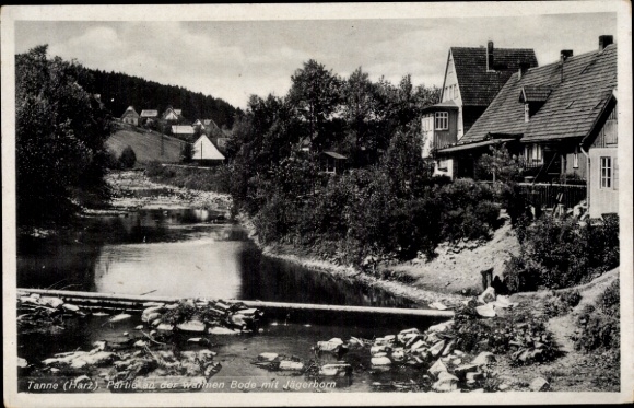 Postcard Tanne Oberharz am Brocken, Bode, Jägerborn