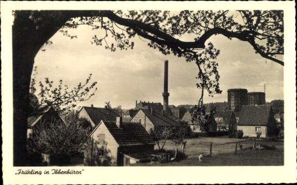 Ak Ibbenbüren in Westfalen, Frühling, Gesamtansicht