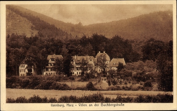 Postcard Ilsenburg Harz, villas, Buchbergstrasse