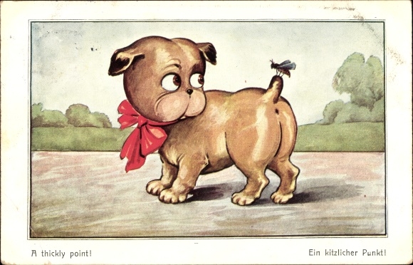 Postcard A ticklish point, fly sits on a dog&#39;s tail