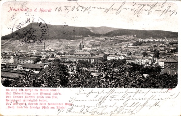 Ak Neustadt an der Weinstraße, Panoramablick, Weinreben, Berge,  Gebäude, idyllische Landschaft