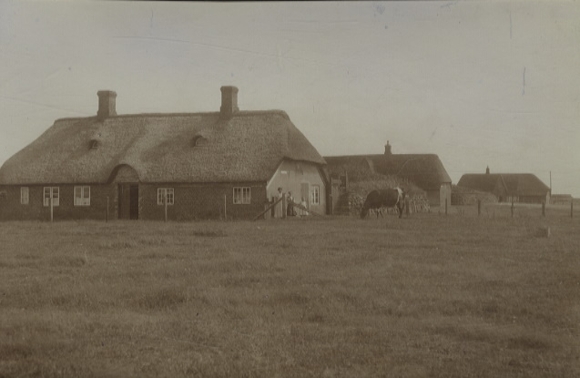 Original Foto Westerland auf Sylt, Bauernhäuser, um 1900