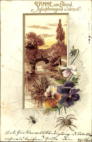 Embossed litho spider in the evening, bringing good luck and refreshment, spider, fly, flowers