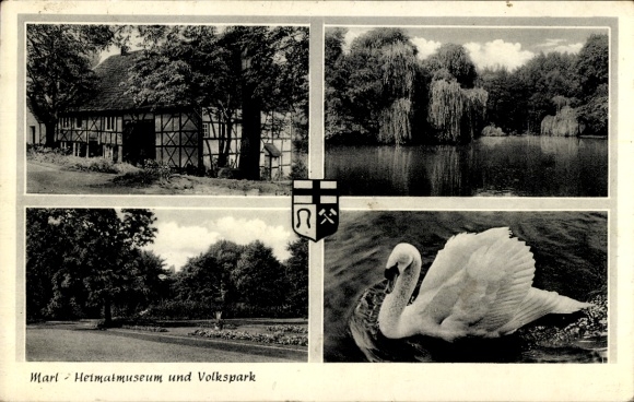 Coat of arms Postcard Marl Ruhr area, local history museum and public park, swan