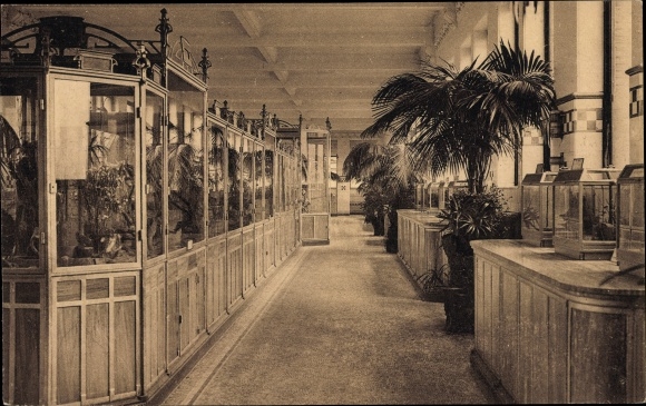 Postcard Anvers Antwerpen Flandern, Zoological Garden, Reptile Gallery