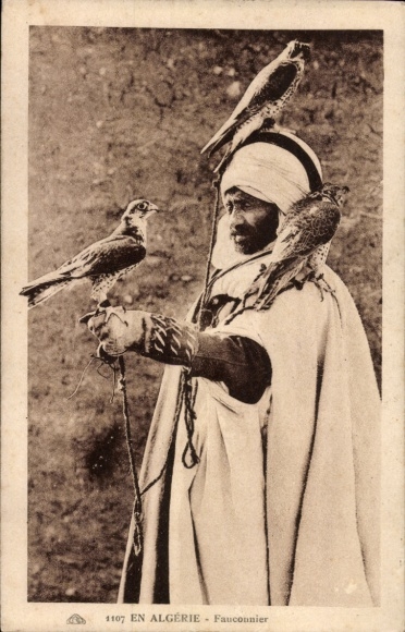 Postcard Algeria, En Algérie, Fauconnier, Falconer, Falcon sitting on the arm