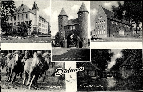 KP Dülmen w Münsterland, dzikie konie, ratusz, duży młyn stawowy, Lüdinghauser Tor