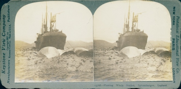 Stereofoto Spitzbergen Norwegen, Schwimmende Walstation