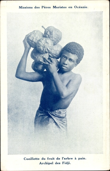 Postcard Fidschi, Mission of the Marist Fathers, Picking fruit from the breadfruit tree