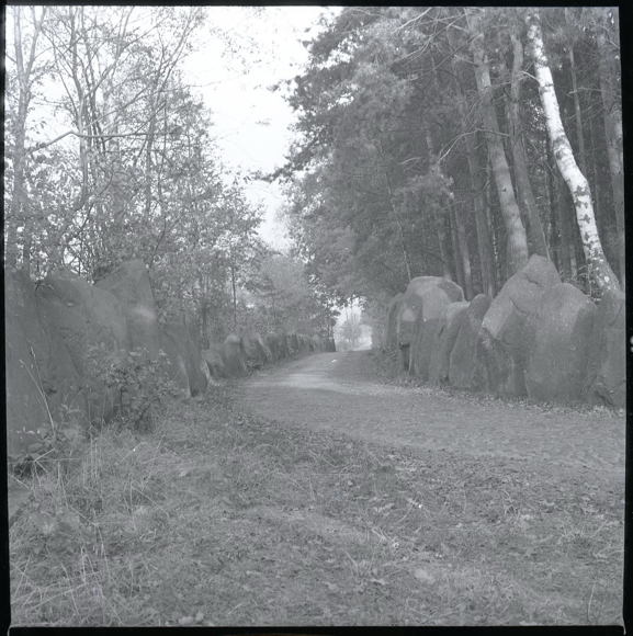 8 celluloid negatives Dauelsen Verden on the Aller, forest, cemetery, economy