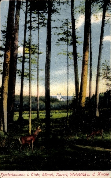 Ak Bad Klosterlausnitz in Thüringen, Waldblick nach der Kirche