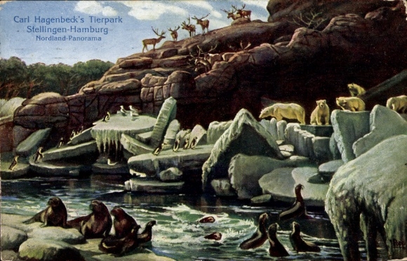 Postcard Hamburg Eimsbüttel Stellingen, Carl Hagenbeck's Zoo, Nordland Panorama, polar bears, seals
