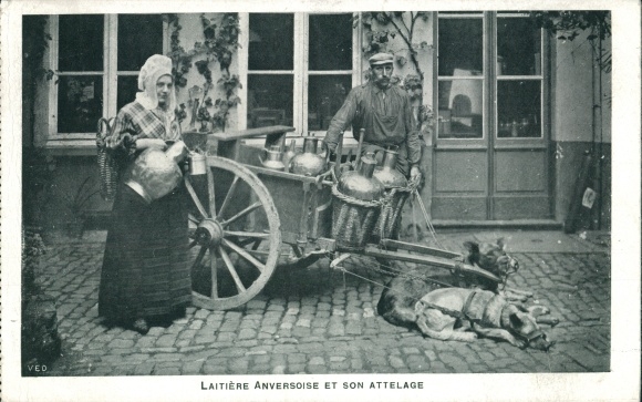Ak Belgische Tracht, Milchmädchen, Hundekarren, Arbeitshunde