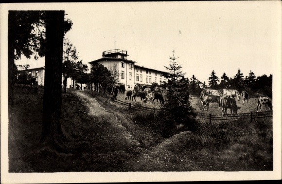 Postcard Wieda in Lower Saxony, Berg Hotel Stöberhai
