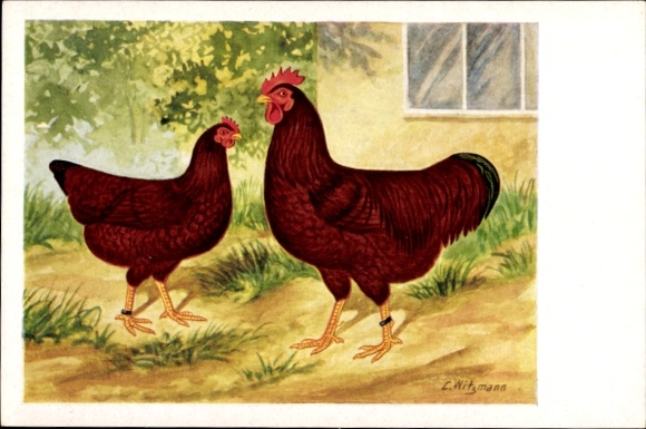 Artysta KP Witzmann, Rhodelander