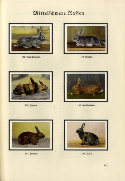 The small animal breeder (Hans vd Nordmark) collecting picture album Muskator, Bergische Kraftfutter-Werke 1