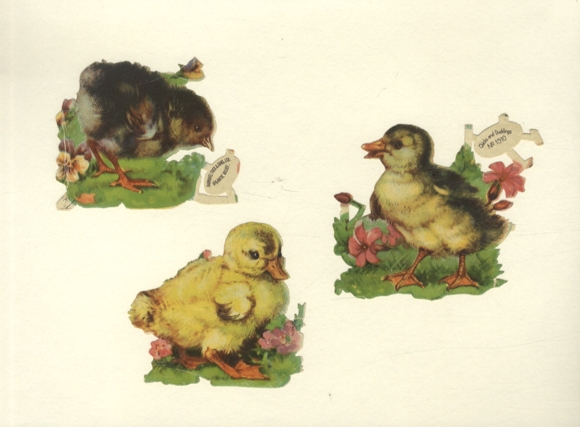 3 Oblaten Entenküken, je ca. 8 x 9 cm