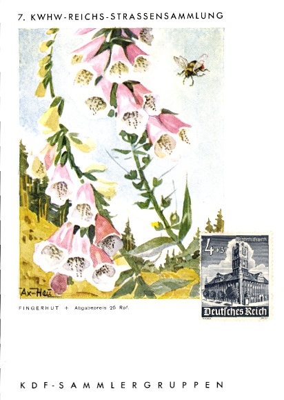 Artist Postcard Axster Heudtlaß, 7th KWHW Reichsstraßensammlung, Fingerhut