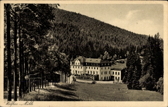 Postcard Raschau Markersbach, holiday home Wolfner Mühle, forest