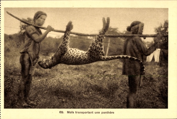 Postcard Asia, Killed Panther, Hunting