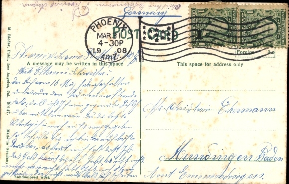Postcard USA, Cactus Cholla, Kaktus