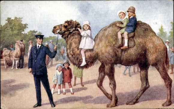 Artist Postcard Zoological Garden London, camel, riding children, llama