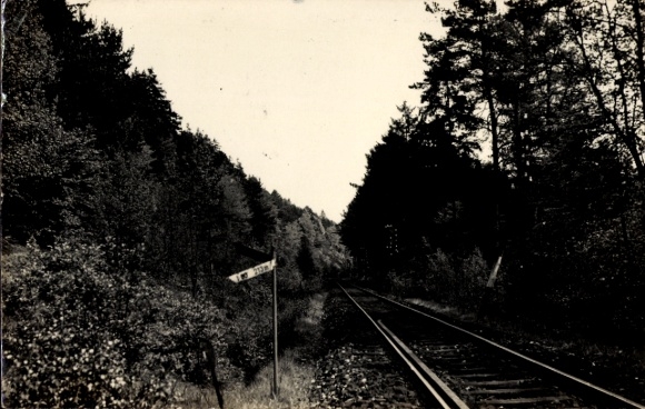Photo Postcard Bad Arolsen in Hesse, railway tracks, forest