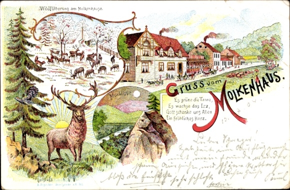 Litho Bad Harzburg am Harz, Gasthof Molkenhaus, Wildfütterung, Muxklippe