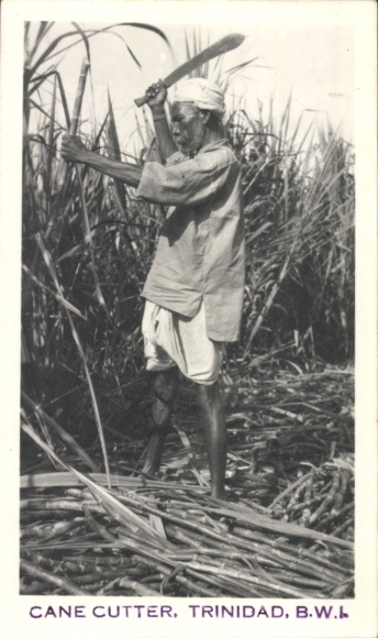 Ak Trinidad & Tobago, Cane Cutter