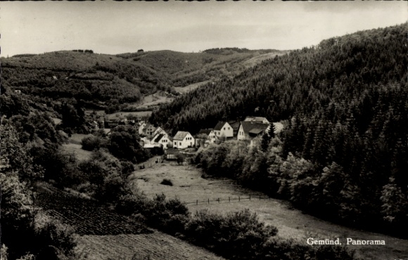 Ak Gemünd Schleiden in de Eifel, panorama